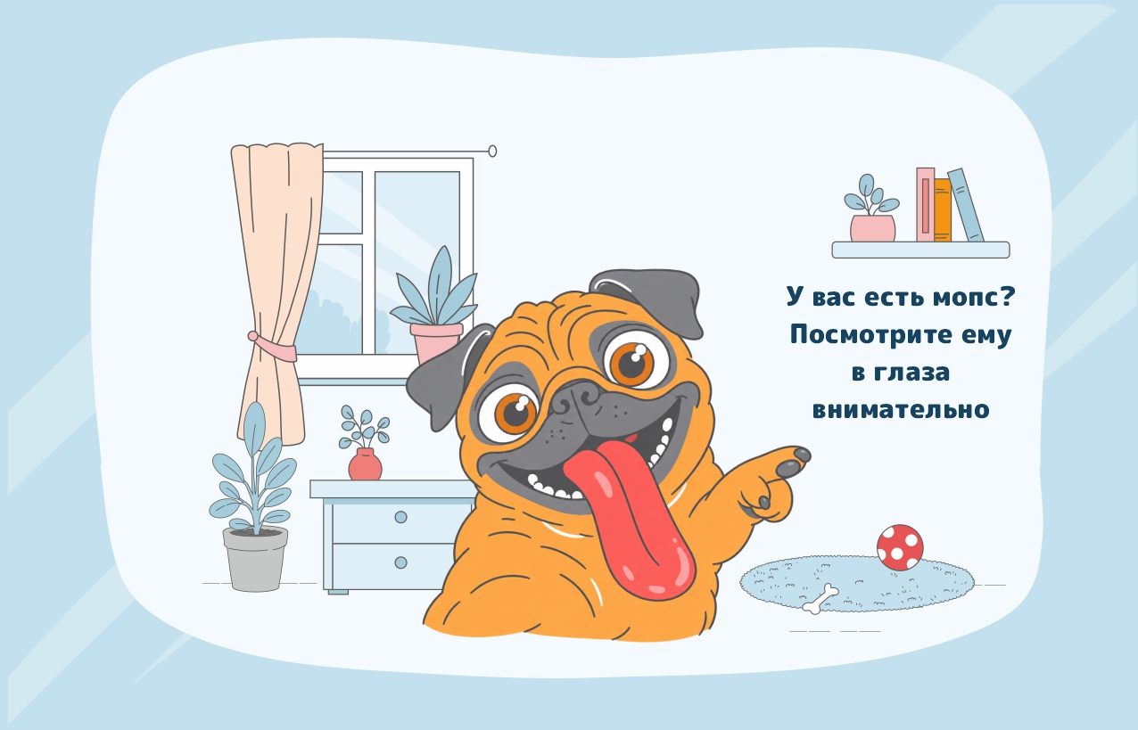 ВЛАДЕЛЬЦАМ  МОПСОВ, ПЕКИНЕСОВ и других брахицефалических пород