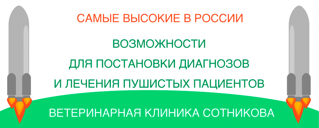 t6jot1p1возможности-клиники-сотникова.pngzoodaq2muhmacubobwjozx9k.png