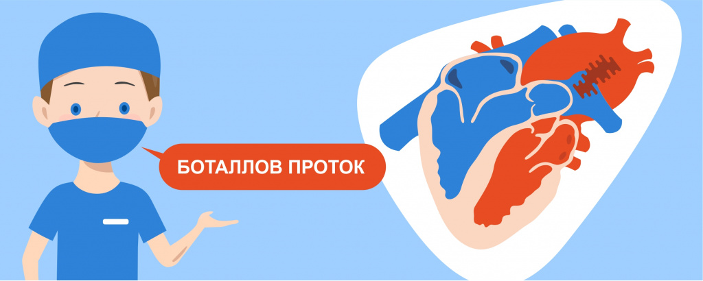 Уникальные операции на сердце собакам и кошкам, ветеринарная кардиология и кардиохирургия Ветеринарной клинике Сотникова.